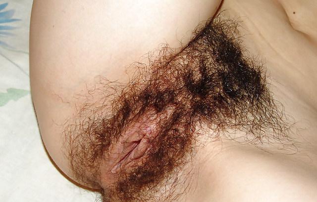 25P Hairy sluts