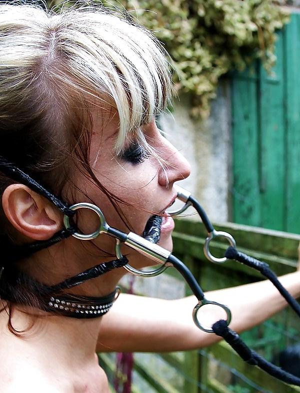 22P Bdsm mix