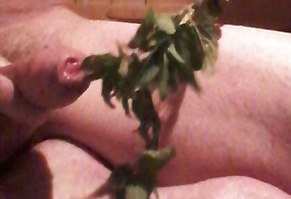 16P Hard nettles punishment punition aux orties bdsm