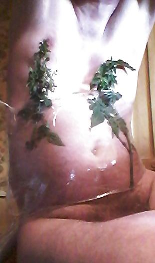 16P Hard nettles punishment punition aux orties bdsm