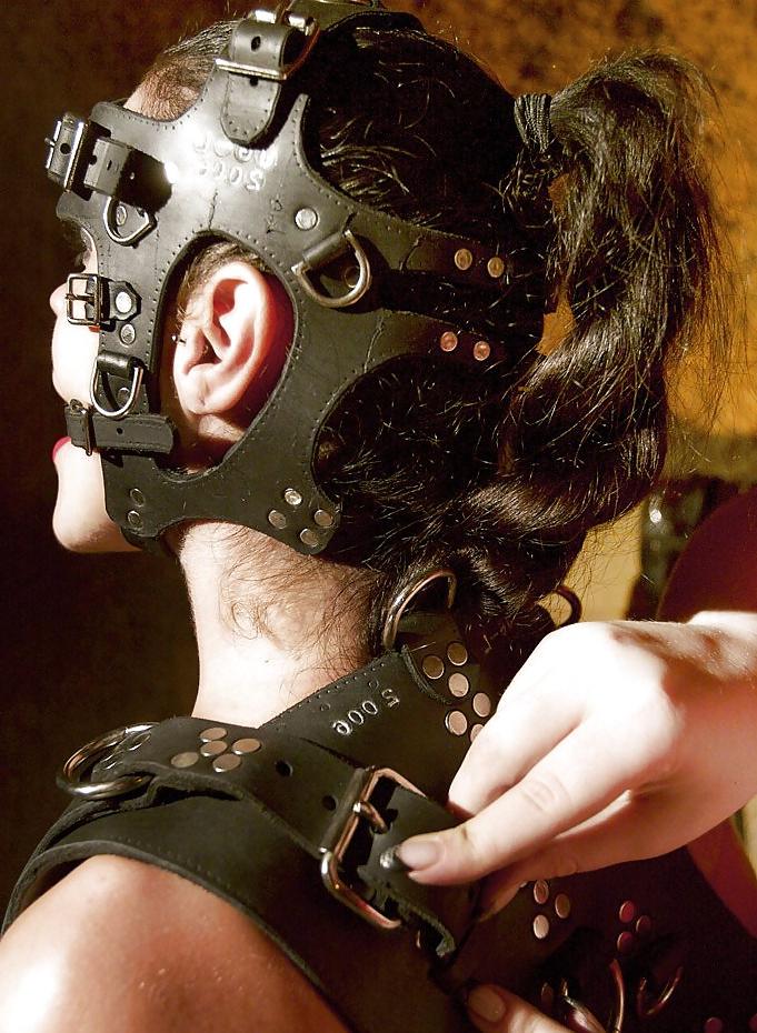 25P Bdsm mix