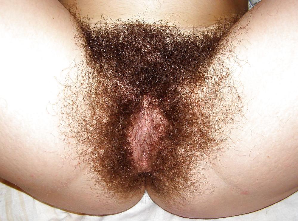 24P FIGA PELOSA 39 HAIRY PUSSY 39 CONO PELUDO CHATTE POILUE