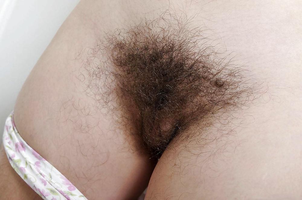 24P Hairy - Mix beautiful small hairy pussy