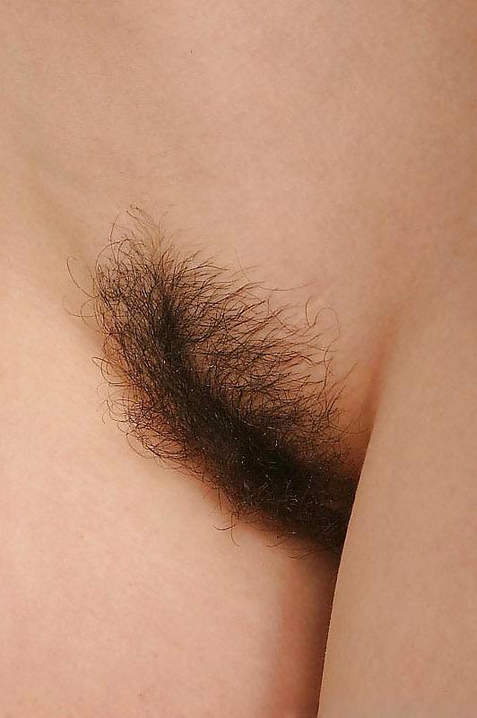 24P Hairy - Mix beautiful small hairy pussy