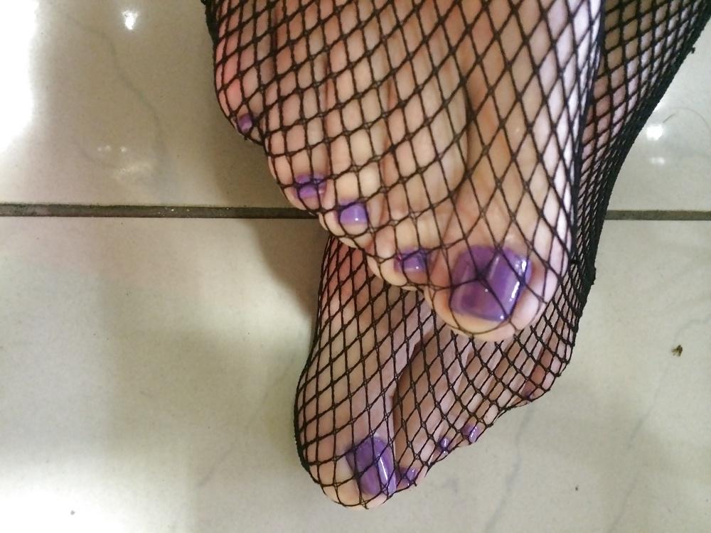 6P Colors of rainbow- purple & fishnet