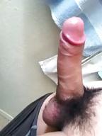 11P Hmong Cocks