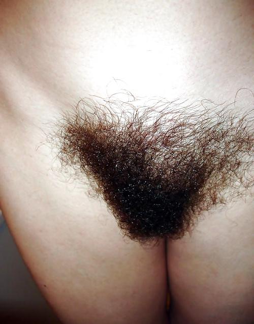 7P Hairy pussy and legs