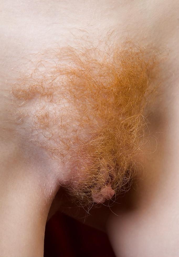 17P Hairy - Rochelle A beautiful small hairy pussy 