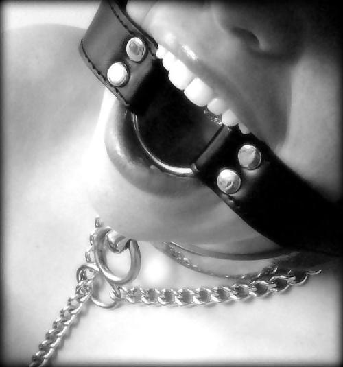 17P Bdsm