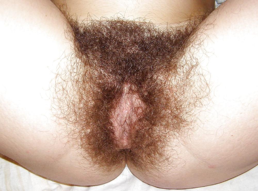 25P FIGA PELOSA 42 HAIRY PUSSY 42 CONO PELUDO CHATTE POILUE