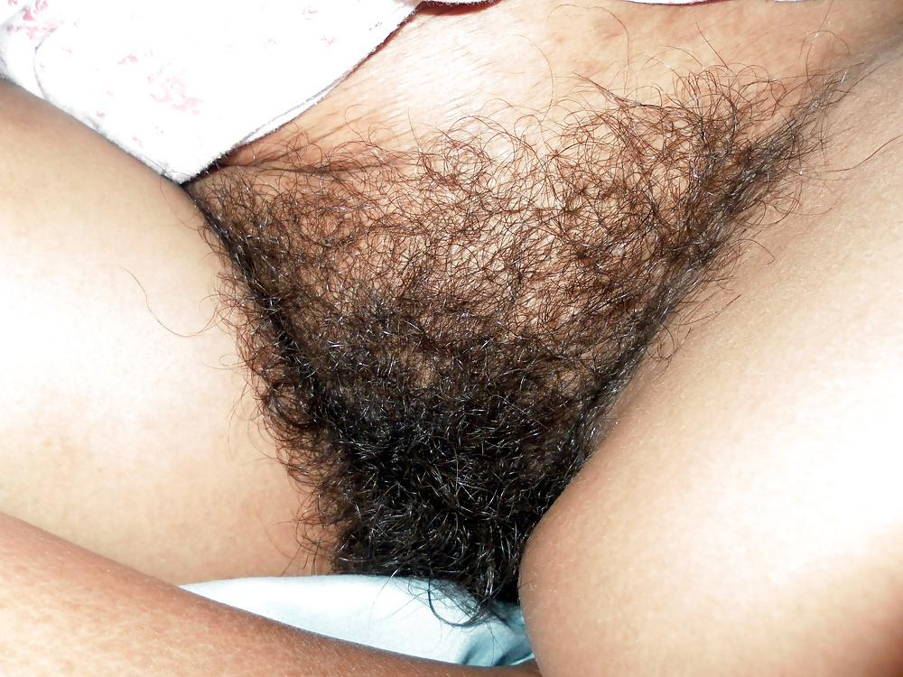 25P FIGA PELOSA 42 HAIRY PUSSY 42 CONO PELUDO CHATTE POILUE