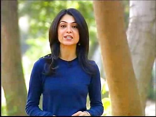22P Sexy news reporters