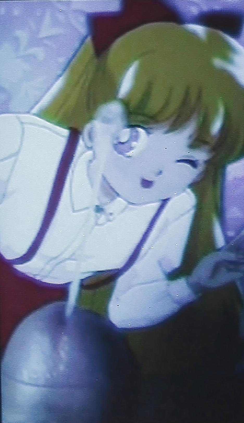 12P Sailormoon & Ko