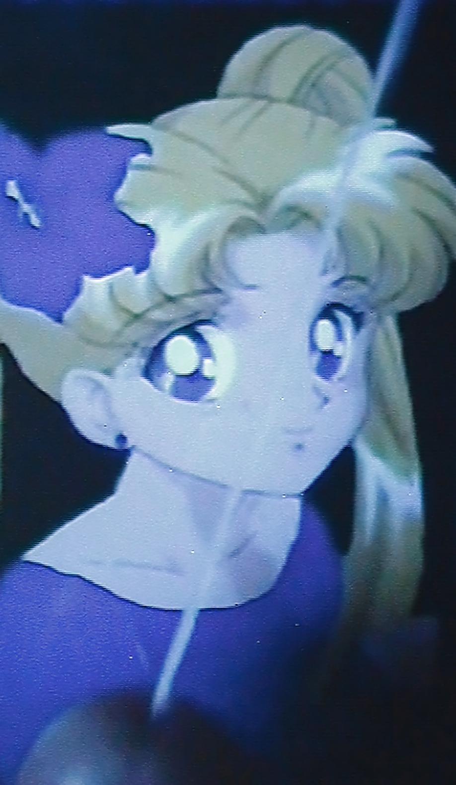 12P Sailormoon & Ko