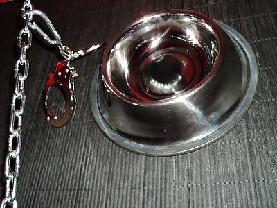 20P BDSM - Lady TS Denise Love