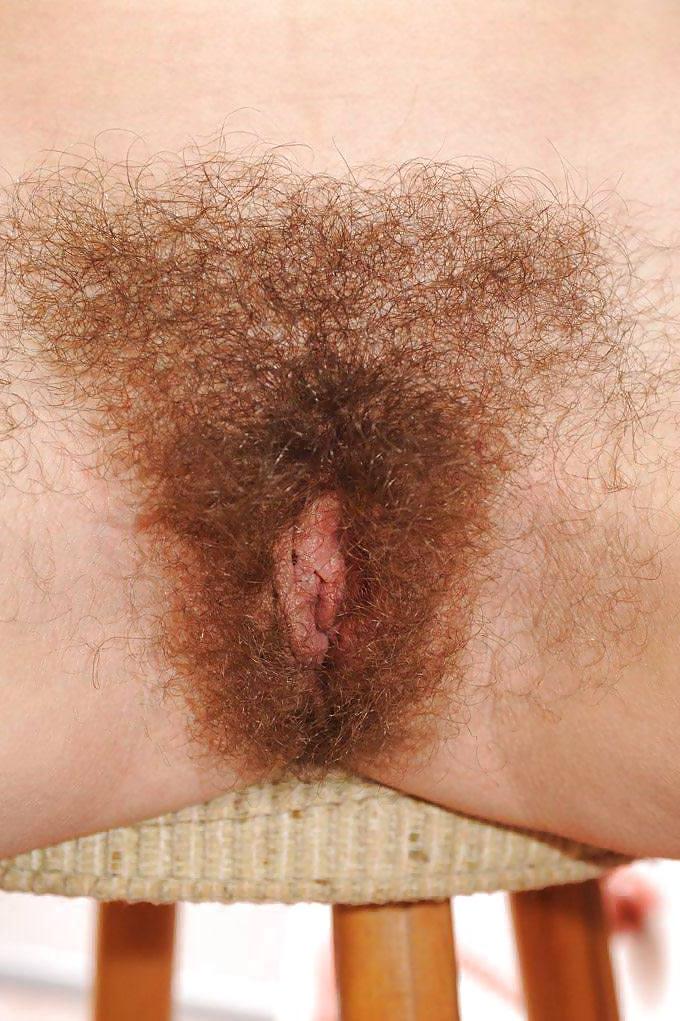 25P Hairy Bush in your Face 3