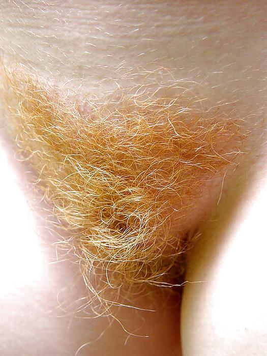 25P Hairy Bush in your Face 3