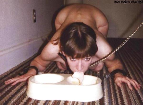 23P Light bdsm and submission