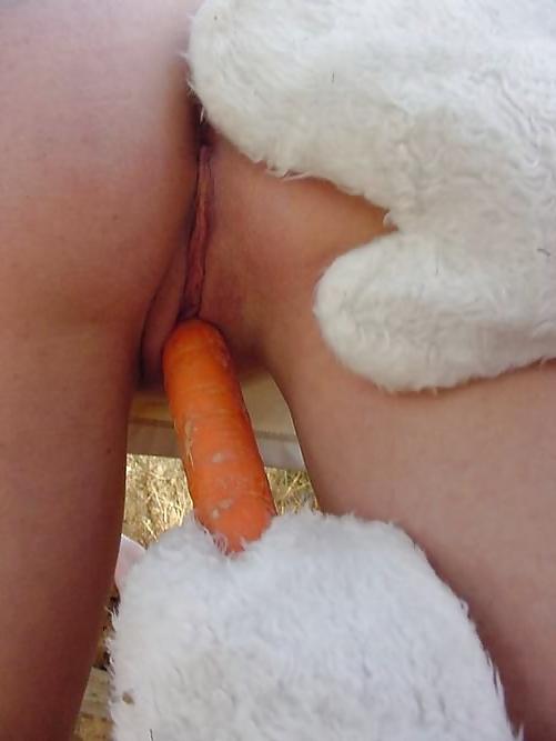 16P Amateur 11 - bunny special