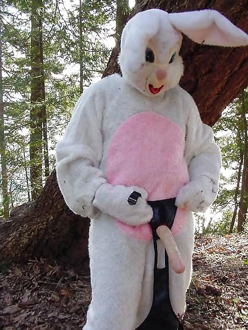 16P Amateur 11 - bunny special