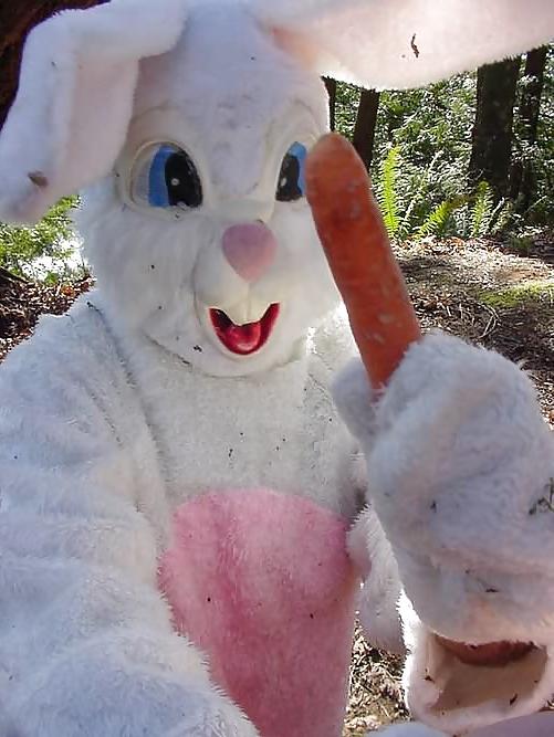 16P Amateur 11 - bunny special