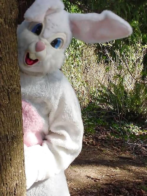 16P Amateur 11 - bunny special