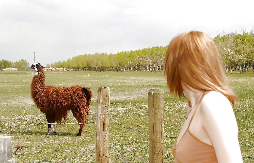 13P Blond teen strips infron of a fence for llamas