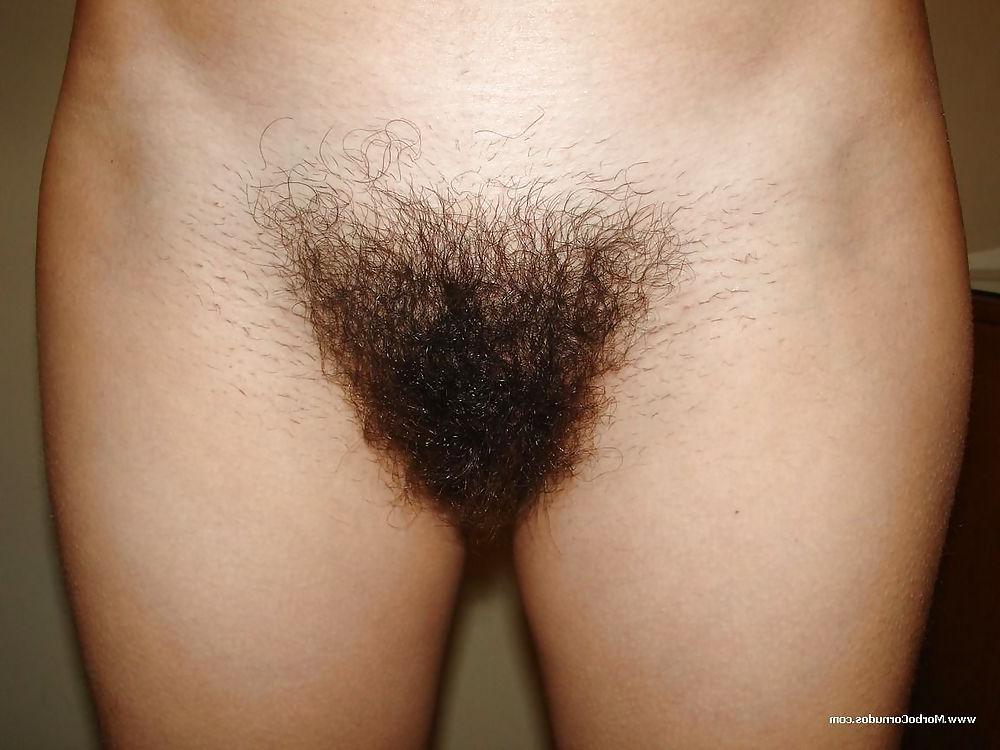 20P Hairy bush in your face 4