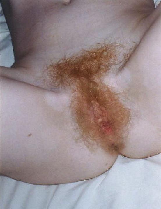 20P Hairy bush in your face 4