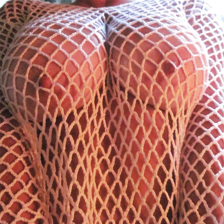 17P White fishnet top