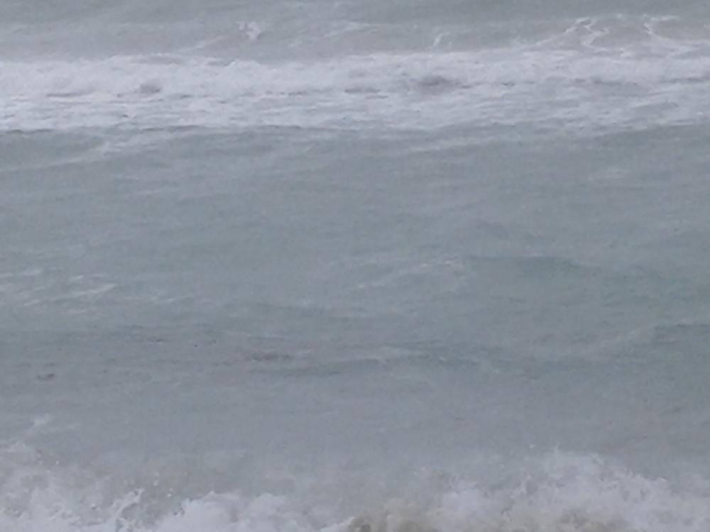 10P Haulover Nudist Beach