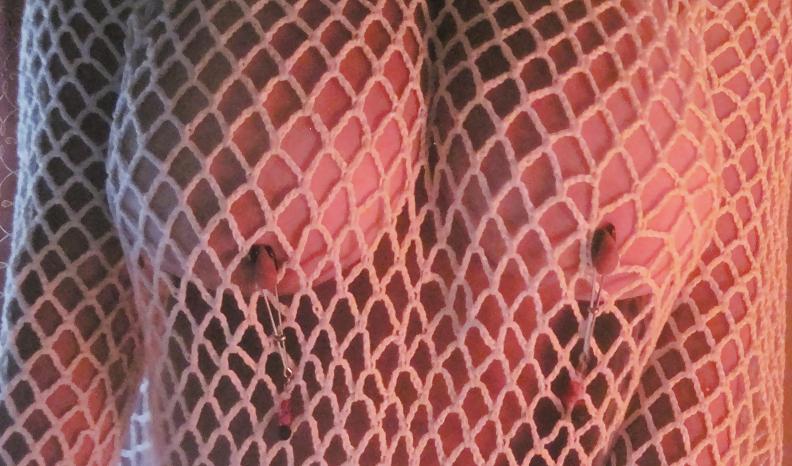 7P Nipple clamps and fishnet top