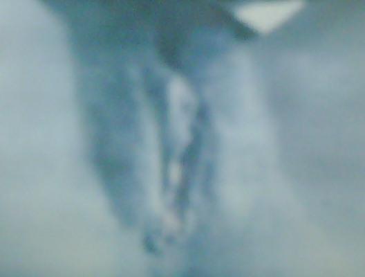 18P Web cam