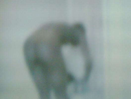 18P Web cam