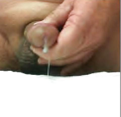 8P Tiny cock on webcam