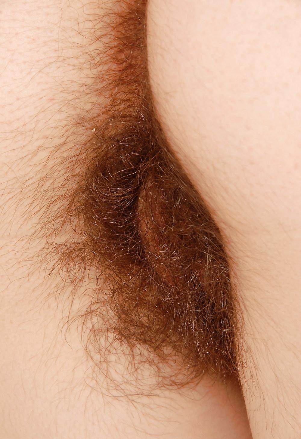 24P Hairy kitty1