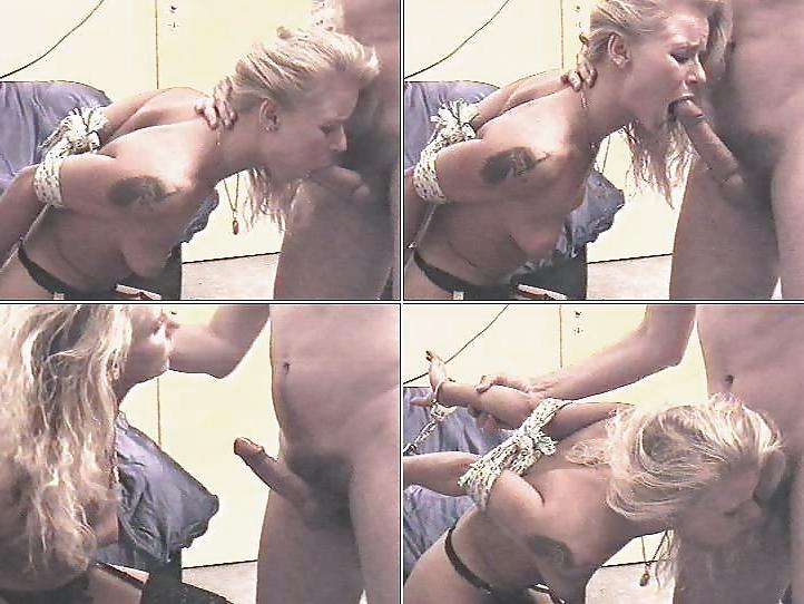 15P BDSM and Coerced 2
