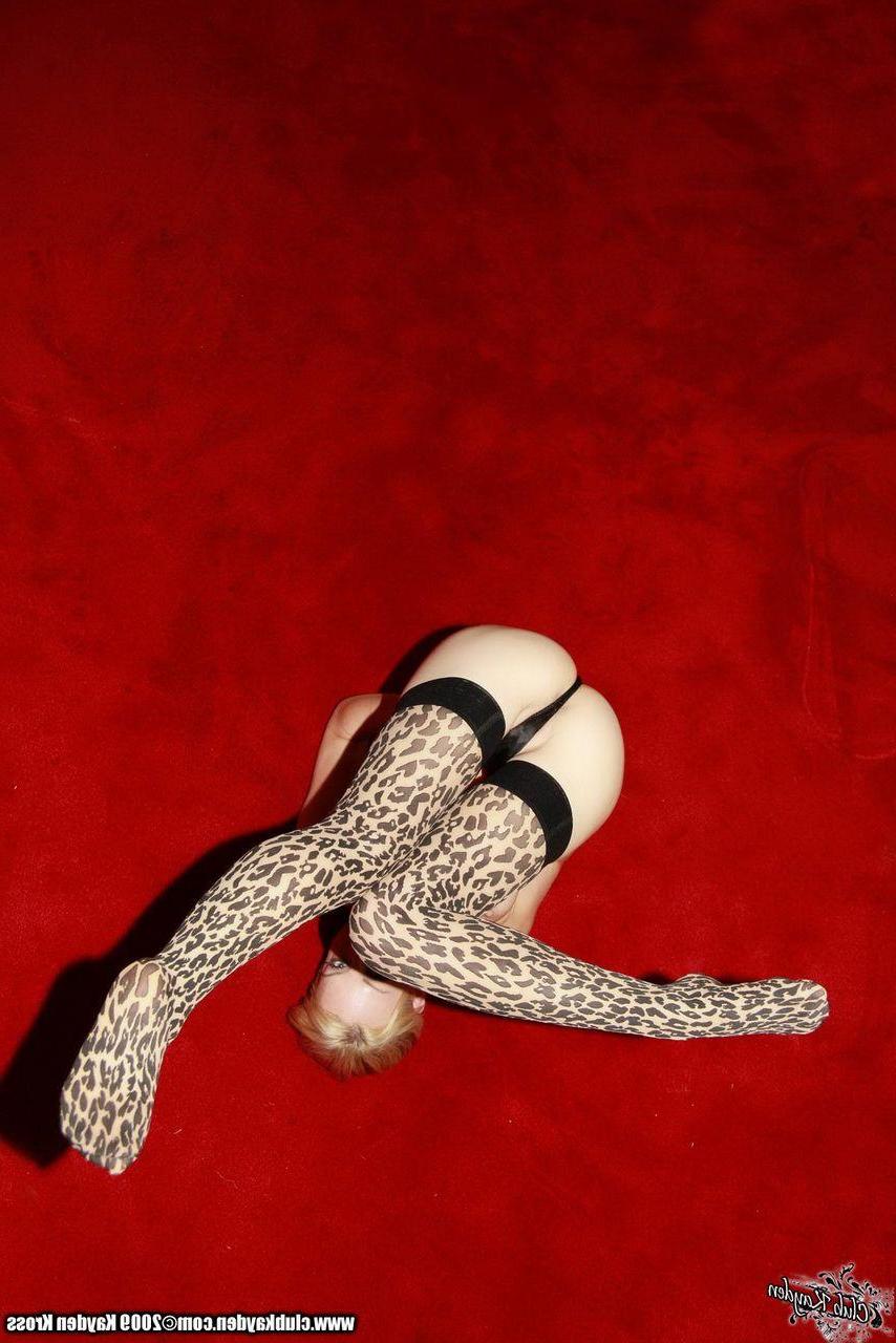 15P Pictures of teen Kayden Kross teasing in leopard stockings