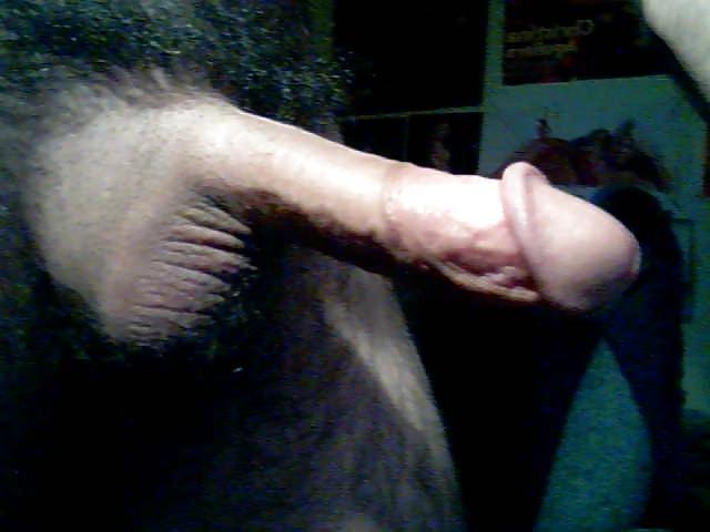8P Cock,webcam,stroke,