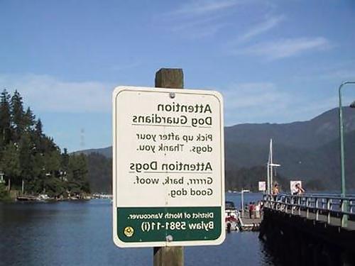 24P Moshe Loves Mixed Messages and Weird Signs