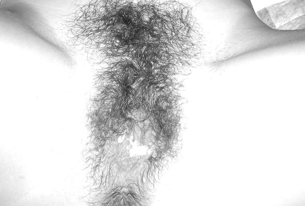 25P Hairy Pussy