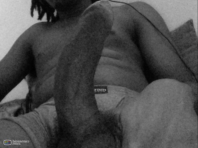 8P Cam Filters - Cock