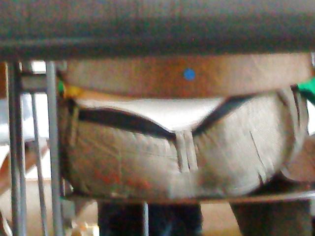 25P Whaletail