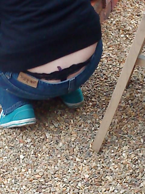 25P Whaletail
