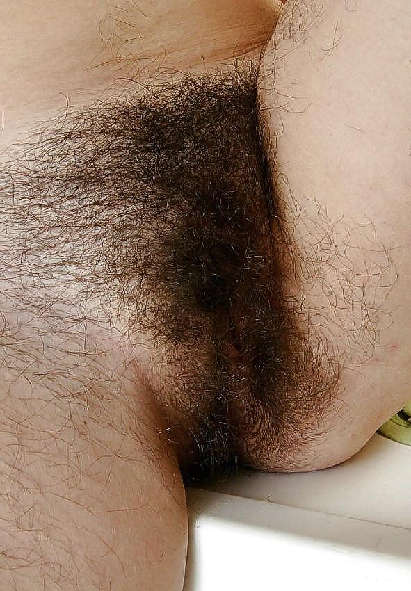 25P Super hairy Pussy Close ups