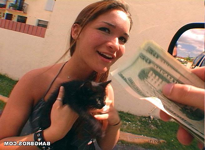 16P Kitty kitty