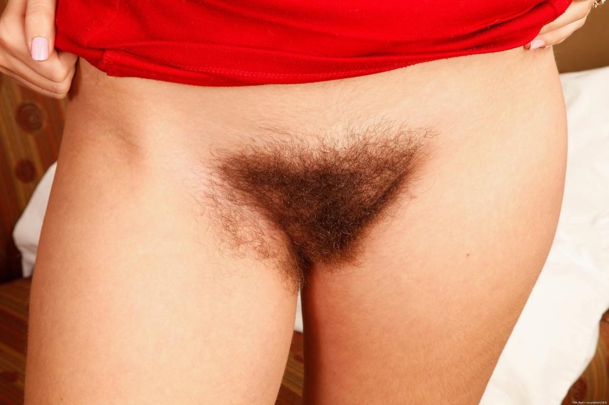 15P Hirsute natural redhead amateur Aali spreading her hairy pussy