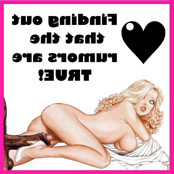 14P Interracial toon IV