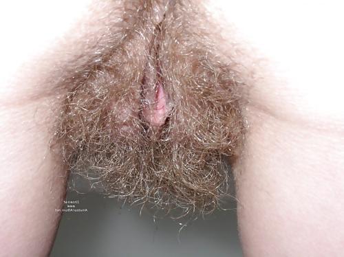 25P Extremely Hairy Pussies