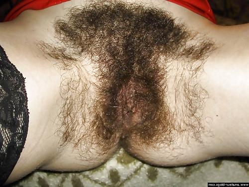 25P Extremely Hairy Pussies